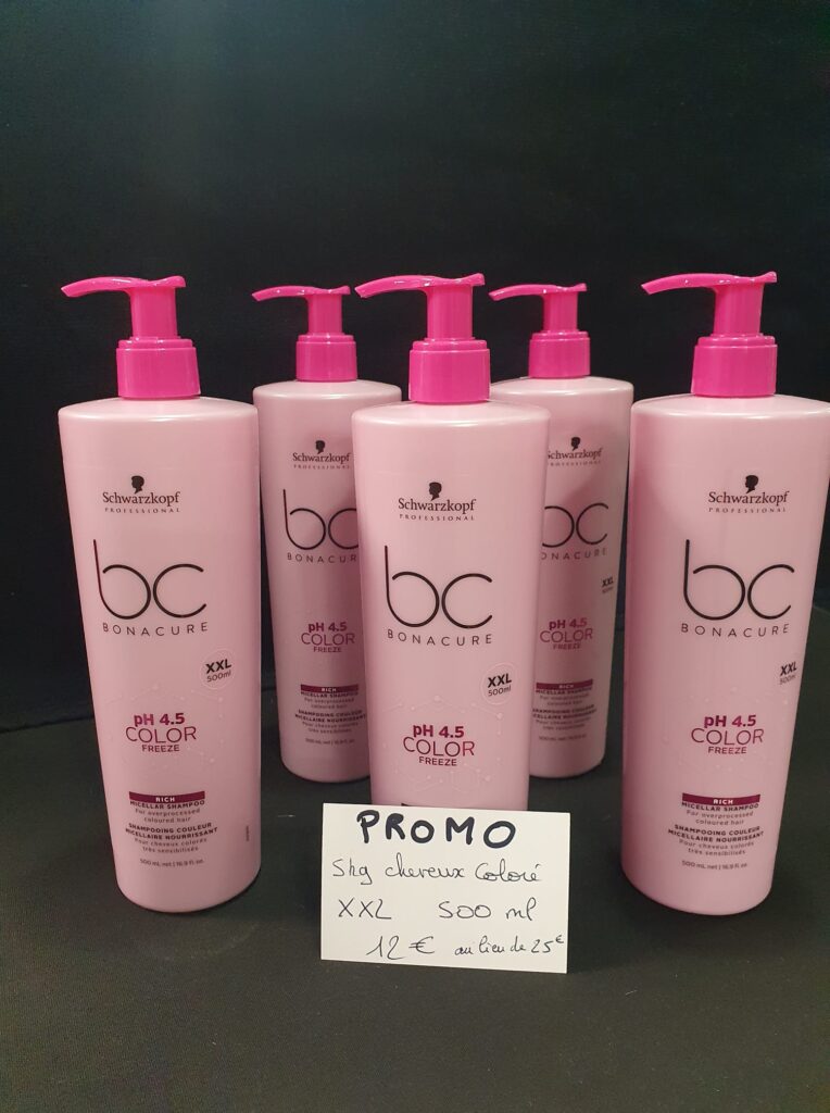 Promotion Shampooing et produits de coiffure Pau